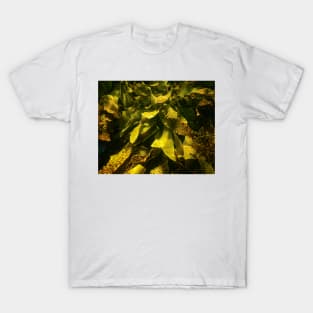 Seaweed T-Shirt